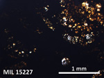 Thin Section Photo of Sample MIL 15227 in Plane-Polarized Light with 5X Magnification