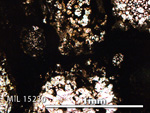 Thin Section Photo of Sample MIL 15230 in Plane-Polarized Light with 5X Magnification