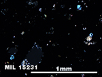 Thin Section Photo of Sample MIL 15231 in Cross-Polarized Light with 5X Magnification