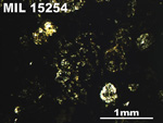 Thin Section Photo of Sample MIL 15254 in Plane-Polarized Light with 2.5X Magnification