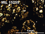 Thin Section Photo of Sample MIL 15255 in Plane-Polarized Light with 5X Magnification