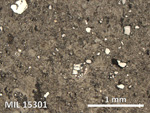 Thin Section Photo of Sample MIL 15301 in Reflected Light with 5X Magnification