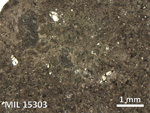 Thin Section Photo of Sample MIL 15303 in Reflected Light with 2.5X Magnification