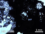 Thin Section Photo of Sample MIL 15306 in Plane-Polarized Light with 2.5X Magnification