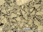 Thin Section Photo of Sample MIL 15309 in Reflected Light with 5X Magnification