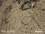 Thin Section Photo of Sample MIL 15347 in Reflected Light with 2.5X Magnification