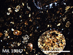 Thin Section Photo of Sample MIL 15347 in Plane-Polarized Light with 5X Magnification