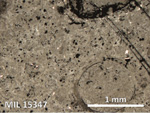 Thin Section Photo of Sample MIL 15347 in Reflected Light with 5X Magnification