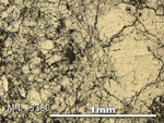 Thin Section Photo of Sample MIL 15380 in Reflected Light with 5X Magnification