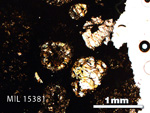 Thin Section Photo of Sample MIL 15381 in Plane-Polarized Light with 2.5X Magnification