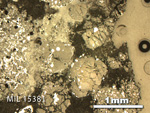 Thin Section Photo of Sample MIL 15381 in Reflected Light with 2.5X Magnification