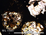 Thin Section Photo of Sample MIL 15381 in Plane-Polarized Light with 5X Magnification