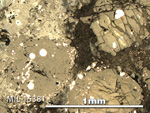 Thin Section Photo of Sample MIL 15381 in Reflected Light with 5X Magnification