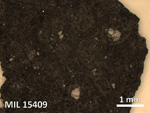 Thin Section Photo of Sample MIL 15409 in Reflected Light with 2.5X Magnification