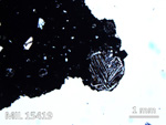 Thin Section Photo of Sample MIL 15419 in Plane-Polarized Light with 2.5X Magnification