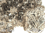 Thin Section Photo of Sample MIL 15419 in Reflected Light with 5X Magnification