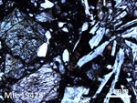 Thin Section Photo of Sample MIL 15428 in Plane-Polarized Light with 2.5X Magnification