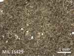 Thin Section Photo of Sample MIL 15429 in Reflected Light with 2.5X Magnification