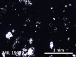 Thin Section Photo of Sample MIL 15429 in Plane-Polarized Light with 5X Magnification