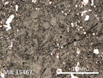 Thin Section Photo of Sample MIL 15467 in Reflected Light with 5X Magnification