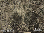 Thin Section Photo of Sample MIL 15472 in Reflected Light with 2.5X Magnification