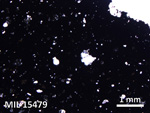 Thin Section Photo of Sample MIL 15479 in Plane-Polarized Light with 2.5X Magnification