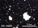 Thin Section Photo of Sample MIL 15479 in Plane-Polarized Light with 5X Magnification