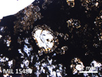 Thin Section Photo of Sample MIL 15480 in Plane-Polarized Light with 2.5X Magnification