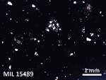Thin Section Photo of Sample MIL 15489 in Plane-Polarized Light with 2.5X Magnification