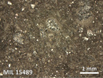 Thin Section Photo of Sample MIL 15489 in Reflected Light with 2.5X Magnification