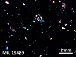 Thin Section Photo of Sample MIL 15489 in Cross-Polarized Light with 2.5X Magnification