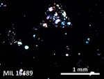 Thin Section Photo of Sample MIL 15489 in Cross-Polarized Light with 5X Magnification