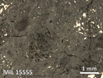 Thin Section Photo of Sample MIL 15555 in Reflected Light with 2.5X Magnification