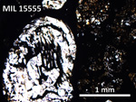 Thin Section Photo of Sample MIL 15555 in Plane-Polarized Light with 5X Magnification