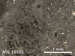 Thin Section Photo of Sample MIL 15555 in Reflected Light with 5X Magnification