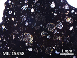 Thin Section Photo of Sample MIL 15558 in Plane-Polarized Light with 2.5X Magnification