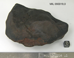 Lab Photo of Sample MIL 090019 Showing Bottom South View
