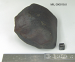 Lab Photo of Sample MIL 090019 Showing Top East View