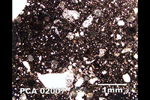 Thin Section Photograph of Sample PCA 02007 in Plane-Polarized Light