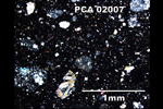Thin Section Photograph of Sample PCA 02007 in Cross-Polarized Light
