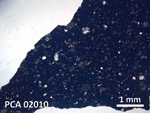 Thin Section Photo of Sample PCA 02010 in Plane-Polarized Light with 20X Magnification