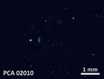 Thin Section Photo of Sample PCA 02010 in Cross-Polarized Light with 20X Magnification