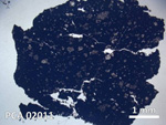 Thin Section Photo of Sample PCA 02011 in Plane-Polarized Light with 20X Magnification
