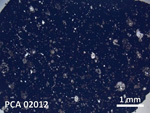 Thin Section Photo of Sample PCA 02012 in Plane-Polarized Light with 20X Magnification