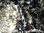Thin Section Photo of Sample PCA 82500 in Plane-Polarized Light