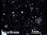 Thin Section Photo of Sample PCA 91008 in Plane-Polarized Light