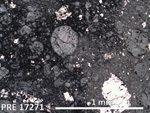 Thin Section Photo of Sample PRE 17271 in Reflected Light with 2.5X Magnification