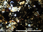 Thin Section Photo of Sample PRE 17275 in Plane-Polarized Light with 2.5X Magnification