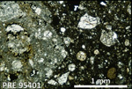 Thin Section Photo of Sample PRE 95401 in Plane Polarized Light