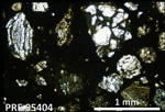 Thin Section Photo of Sample PRE 95404 in Plane Polarized Light